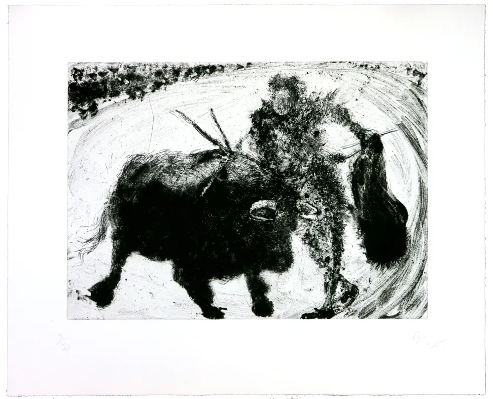 Incisione Barcelo - Lanzarote 53