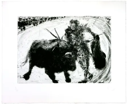 Incisione Barcelo - Lanzarote 53