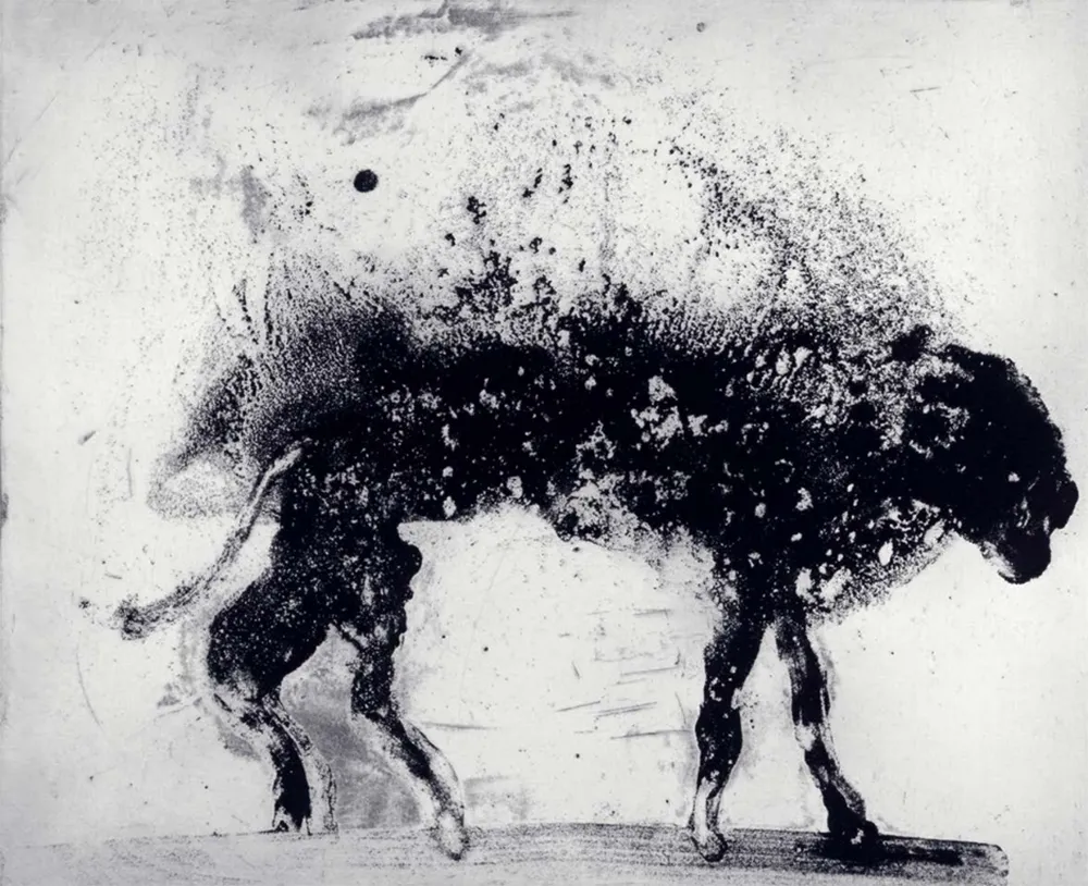 Acquaforte E Acquatinta Barcelo - Lanzarote 8