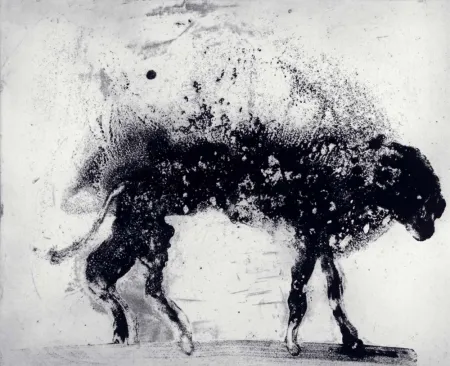 Acquaforte E Acquatinta Barcelo - Lanzarote 8