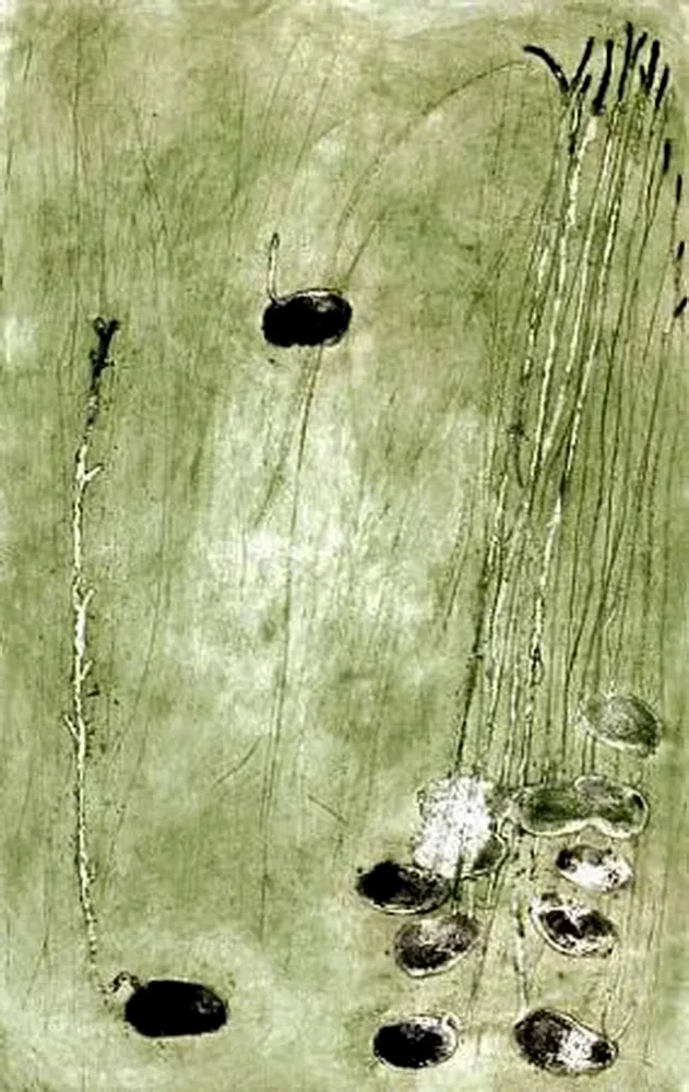 Acquaforte Barcelo - Les Germes