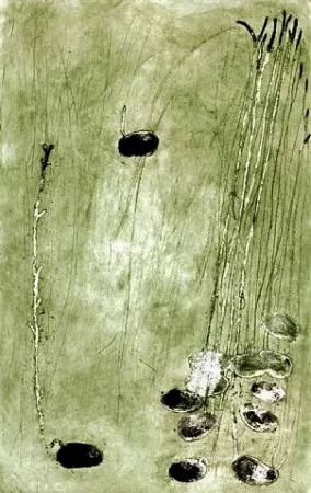 Acquaforte Barcelo - Les Germes