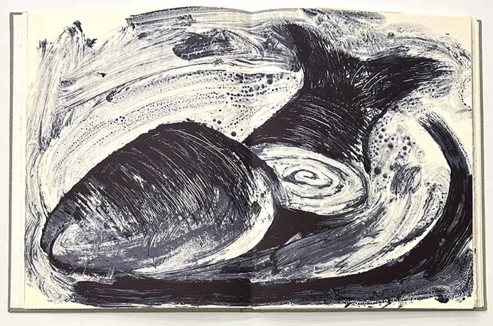 Libro Illustrato Barcelo - Noise - Deluxe Edition