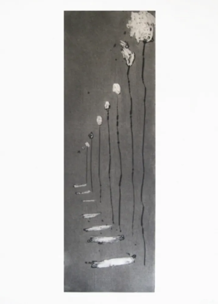 Incisione Barcelo - Réverbères