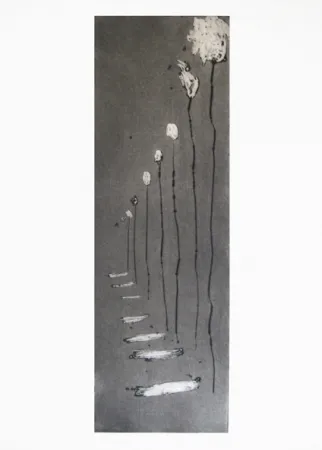 Incisione Barcelo - Réverbères