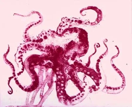 Acquatinta Barcelo - Serie Lanzarote 13