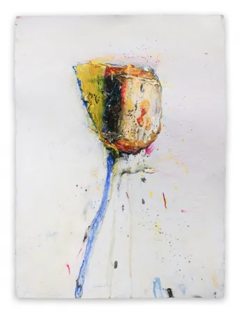 Non Tecnico Baribeau - Stem #204