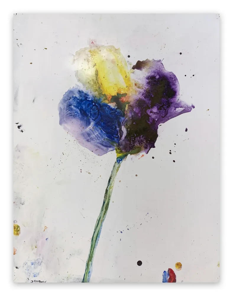 Non Tecnico Baribeau - Stem #28