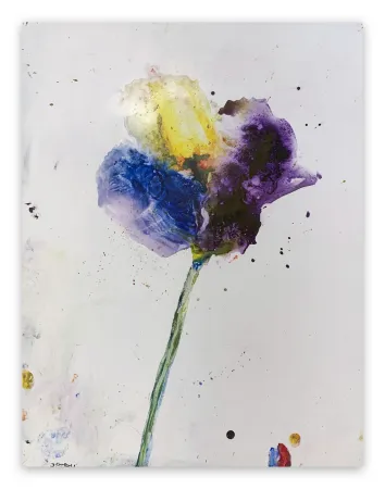 Non Tecnico Baribeau - Stem #28