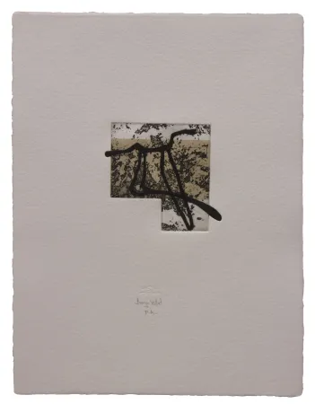 Acquaforte E Acquatinta Baroja-Collet - Animal