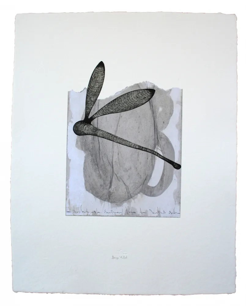 Multiplo Baroja-Collet - Collage