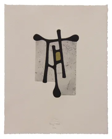 Acquaforte E Acquatinta Baroja-Collet - Contraseña