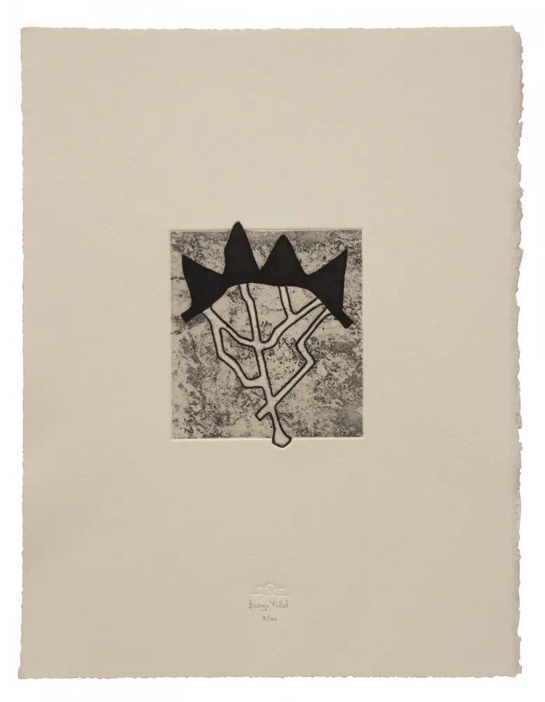 Acquaforte E Acquatinta Baroja-Collet - Estructurada