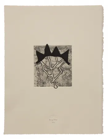 Acquaforte E Acquatinta Baroja-Collet - Estructurada