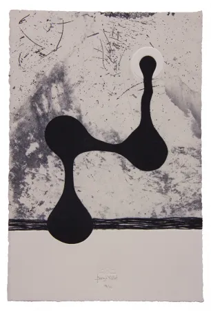 Acquaforte E Acquatinta Baroja-Collet - Free them all