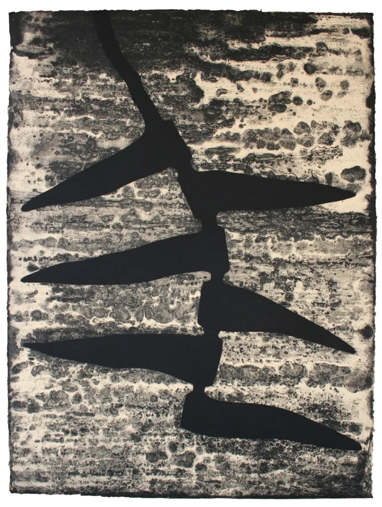 Acquaforte E Acquatinta Baroja-Collet - Garoa