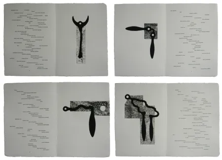 Libro Illustrato Baroja-Collet - Mallarmeren betazalak