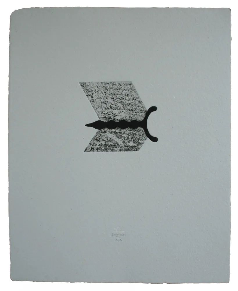 Acquaforte E Acquatinta Baroja-Collet - Mallarmeren betazalak VIII