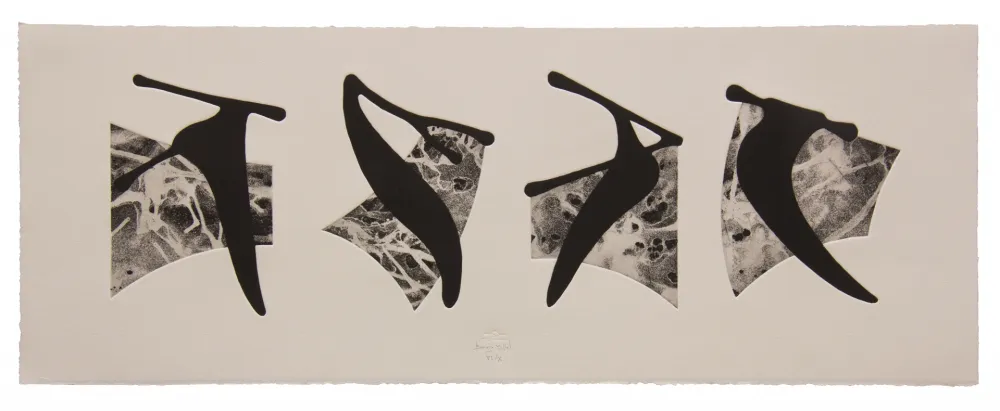 Acquaforte E Acquatinta Baroja-Collet - Neguko kronika