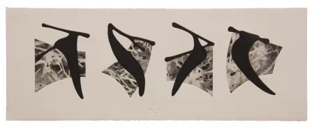 Acquaforte E Acquatinta Baroja-Collet - Neguko kronika