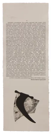 Libro Illustrato Baroja-Collet - Neguko kronika hegoaldeko ordeketan