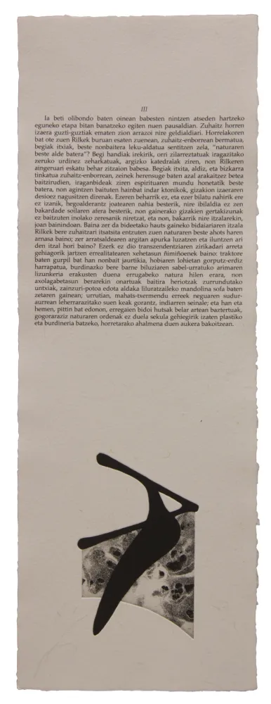 Libro Illustrato Baroja-Collet - Neguko kronika hegoaldeko ordeketan