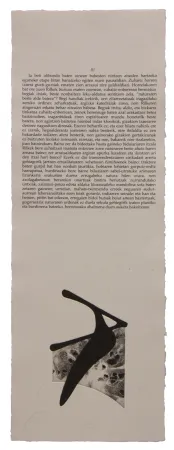 Libro Illustrato Baroja-Collet - Neguko kronika hegoaldeko ordeketan