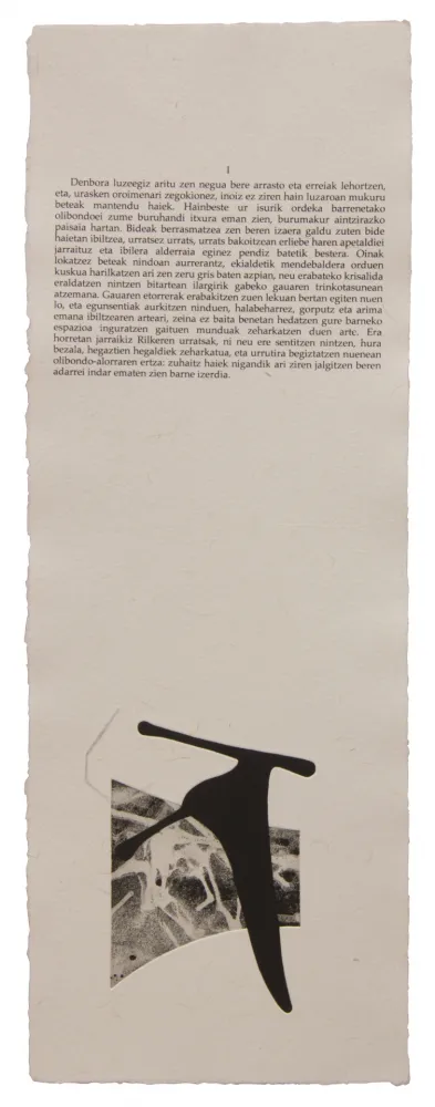 Libro Illustrato Baroja-Collet - Neguko kronika hegoaldeko ordeketan