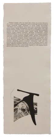 Libro Illustrato Baroja-Collet - Neguko kronika hegoaldeko ordeketan