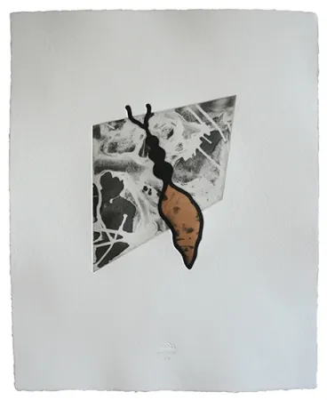 Acquaforte E Acquatinta Baroja-Collet - Reina