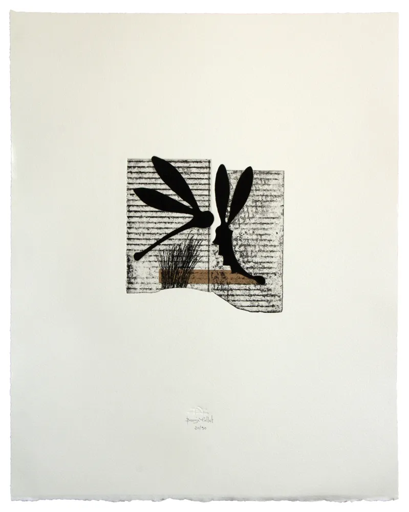 Acquaforte E Acquatinta Baroja-Collet - Seducción