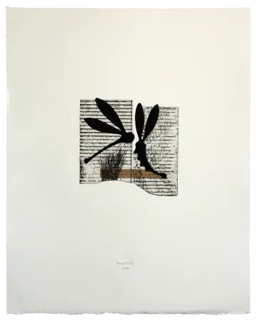 Acquaforte E Acquatinta Baroja-Collet - Seducción