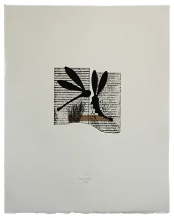 Acquaforte E Acquatinta Baroja-Collet - Seducción