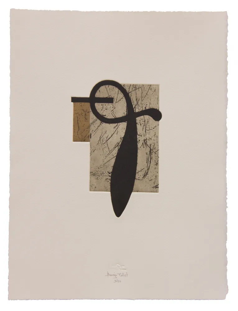 Acquaforte E Acquatinta Baroja-Collet - Suspendido