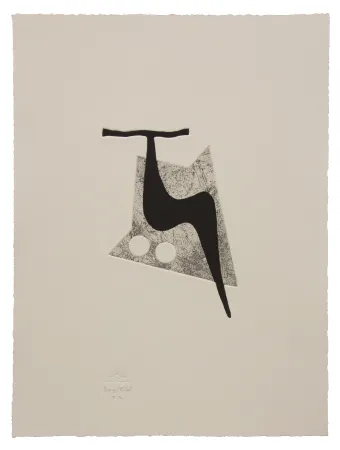 Acquaforte E Acquatinta Baroja-Collet - Vigoroso