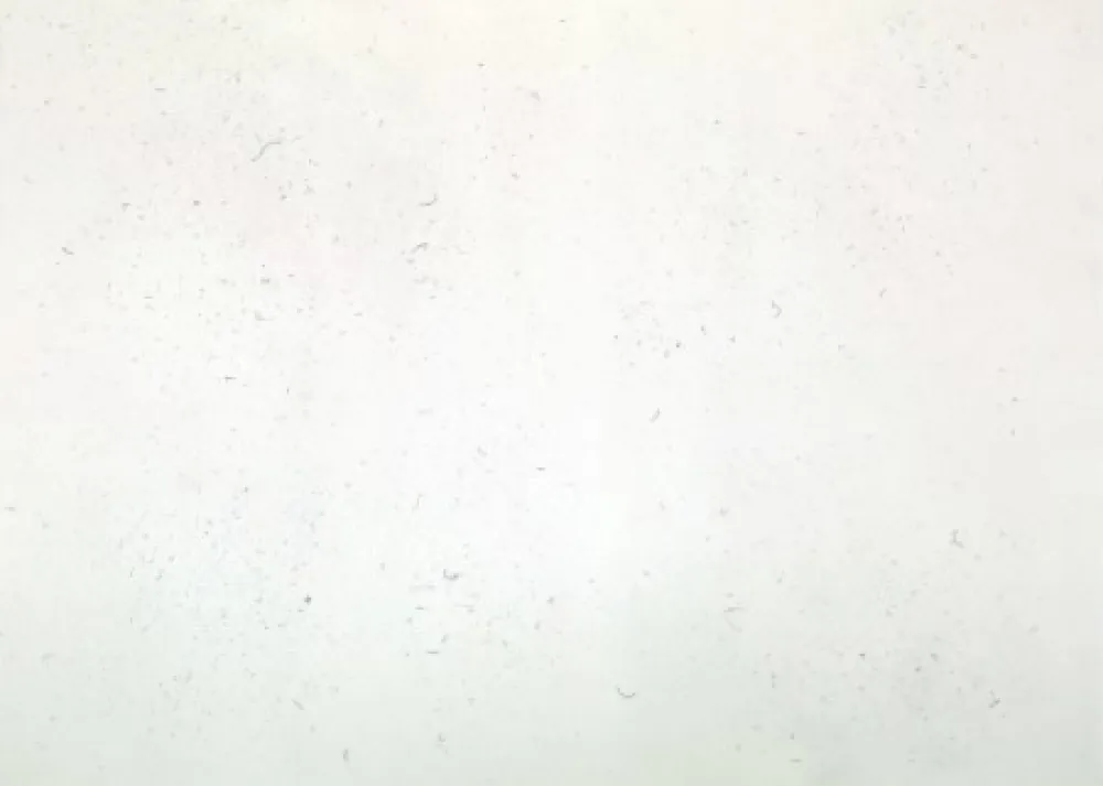 Incisione Bartolini - Dust Chaser 1