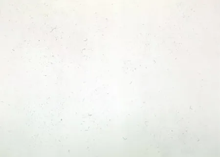 Incisione Bartolini - Dust Chaser 1