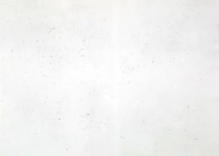 Incisione Bartolini - Dust Chaser 2