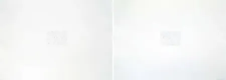 Incisione Bartolini - Dust Chaser