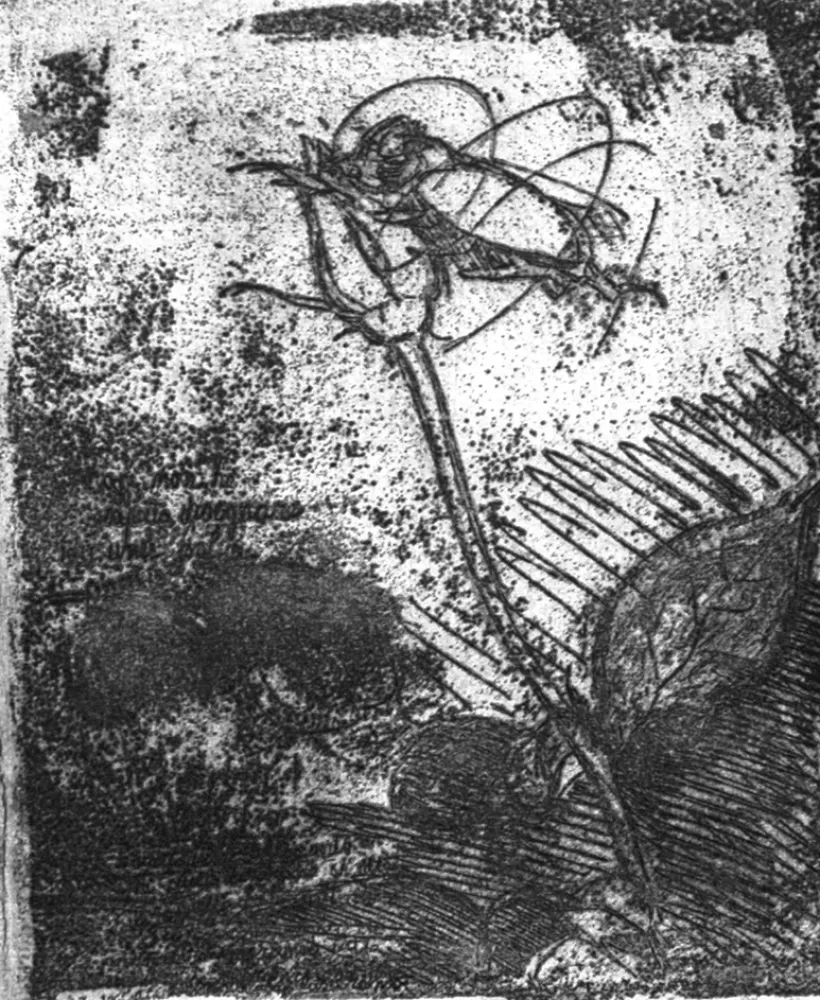 Acquaforte Bartolini - La rosa