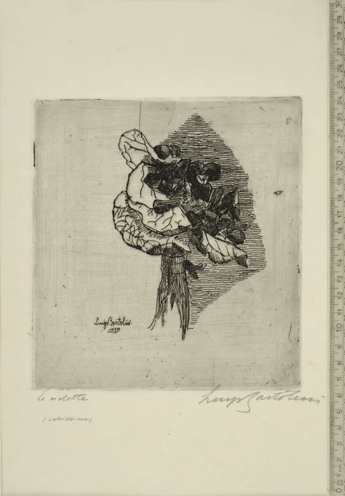 Acquaforte Bartolini - LE VIOLETTE