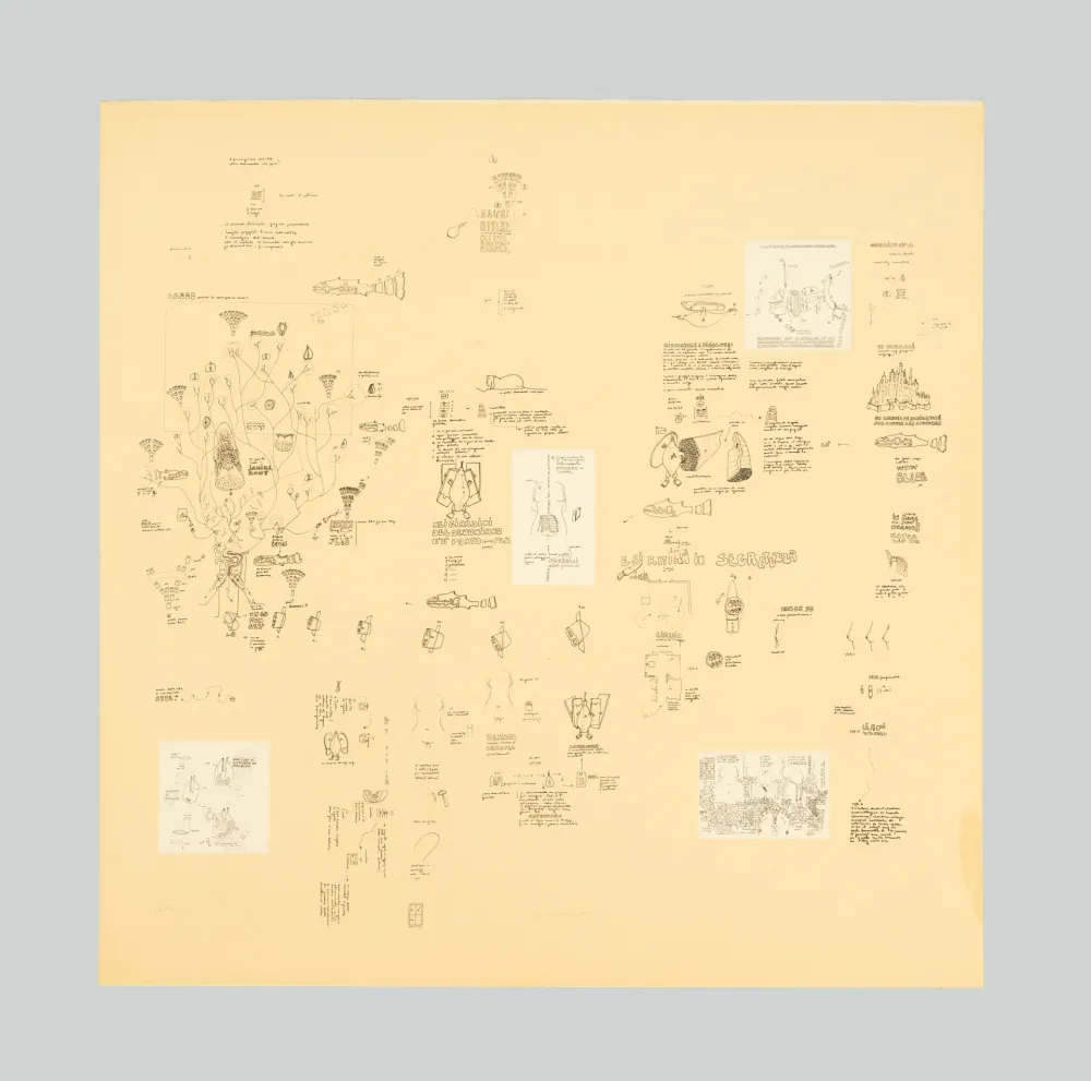 Serigrafia Baruchello - Senza titolo