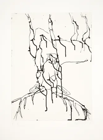 Acquatinta Baselitz - 