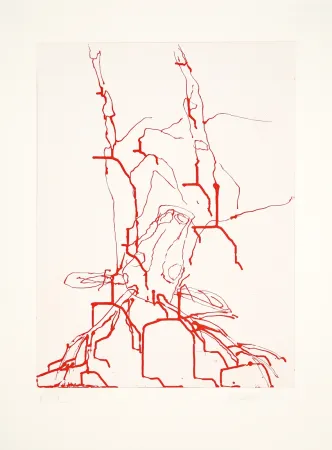 Acquatinta Baselitz - 