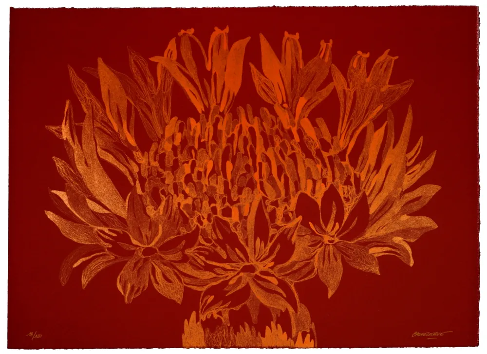 Litografia Baudelocque - Lys