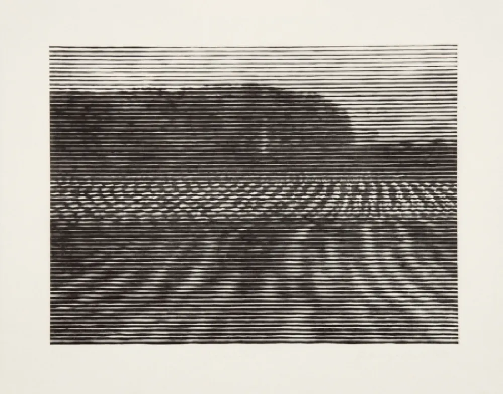 Incisione Su Legno Baumgartner - Gelände