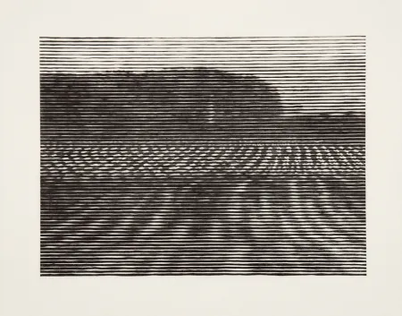 Incisione Su Legno Baumgartner - Gelände