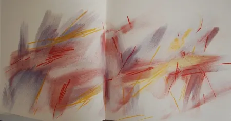 Libro Illustrato Bazaine - Bazaine