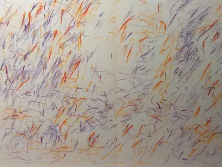 Libro Illustrato Bazaine - DLM 170