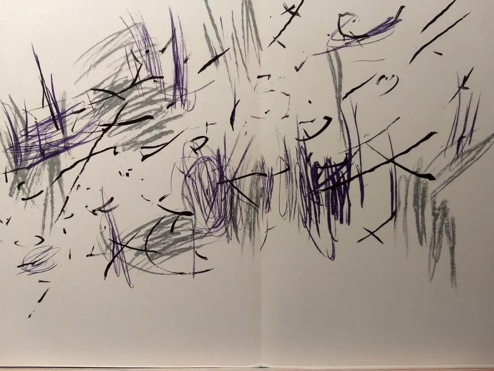 Libro Illustrato Bazaine - DLM 197